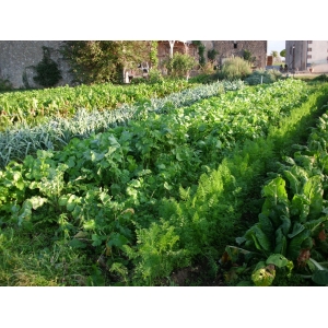 Ferme De La Nature