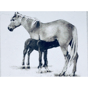 Les Juments D Argonne