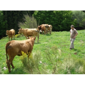 Le Paysan Heureux