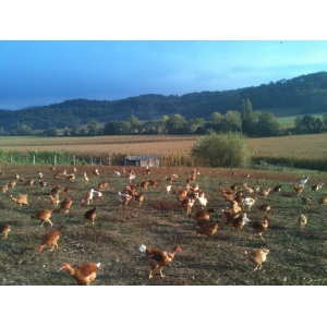 La Ferme Du Padouen