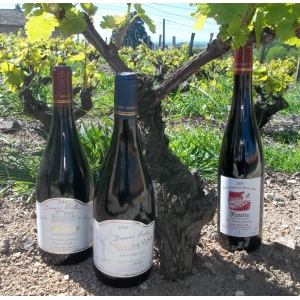 Domaine Baillais