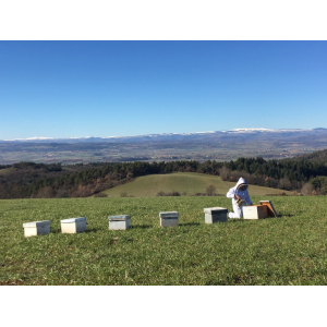 Good Auvergne