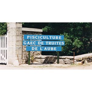 Truites de l'Aube