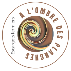 A L'ombre Des Planches