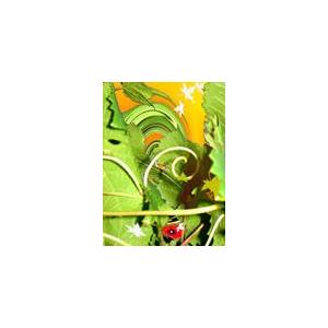 Ajinov Atelierjardin Idéal Naturel Oasis