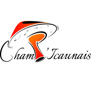 Champ'icaunais