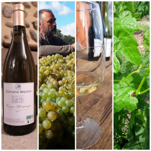 Domaine Breyton
