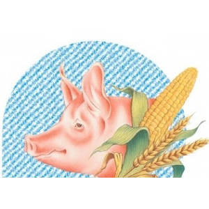 Ferlay Pascal