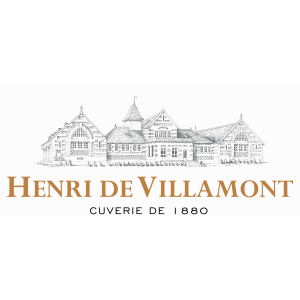 Henri De Villamont