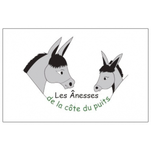 Les ânesses De La Côte Du Puits