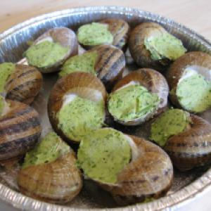 12 escargots en coquille - surgele