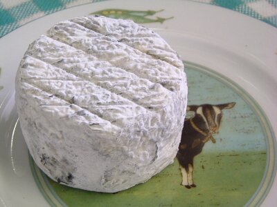 Crottin cendré pur chèvre affiné