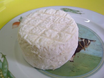 Crottin nature pur chèvre affiné