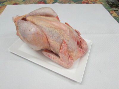 Poulet cou nu rouge