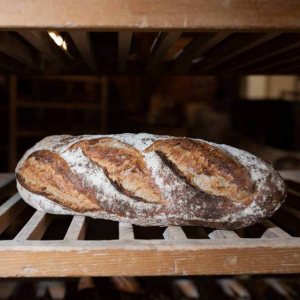 Grand pain de blé semi complet bio