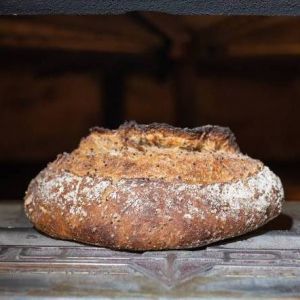 Pain aux graines colza & luzerne bio