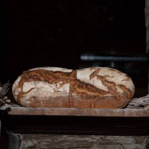Pain de petit épeautre bio