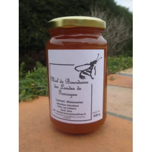 Miel de Bourdaine