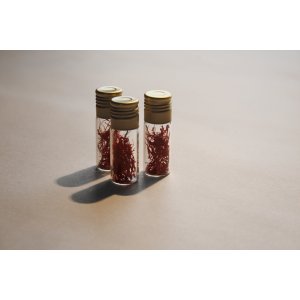 Safran bio en filaments 0,75 g en lot de trois tubes