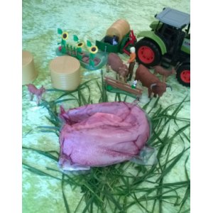 Langue de boeuf (race limousine)