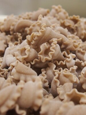 Campanelle bio à l'épeautre