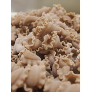 Campanelle bio au petit épeautre