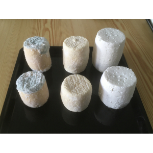 Grand mi-chèvre mi frais