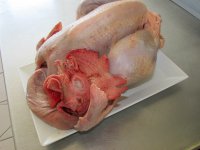 Coq 2,5 - 3,2  kg