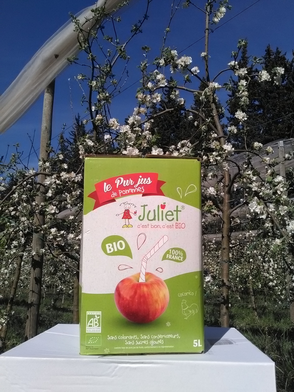 Jus de pomme Juliet baginbox 5 L FR Coeur de pom