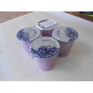 Yaourts aromatisés à la myrtille par barquette de 4u