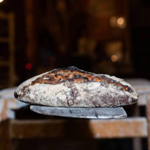 Pain blé aux citrons confits bio