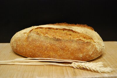 Miche campagnarde