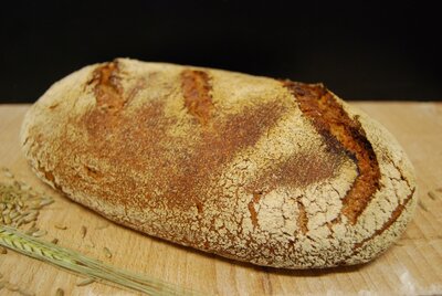 Miche morvandelle