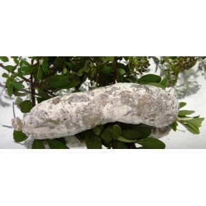 Saucisson nature traditionnel