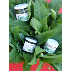 Pesto d'ail des ours