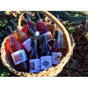 Sirop de myrtilles sauvages