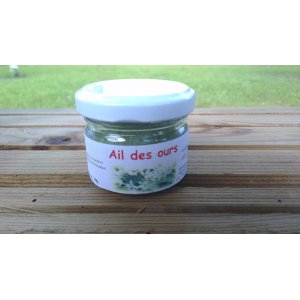 Ail des ours en poudre