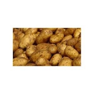 Pommes de terre bio chair tendre grosses ou petites