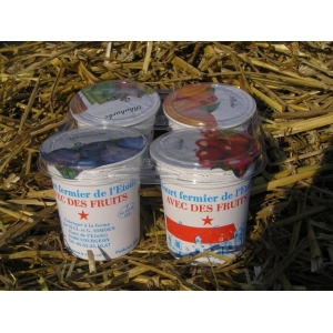 4 yaourts aux fruits : assortiment