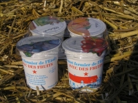 4 yaourts aux fruits : fruits rouges