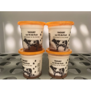 4 yaourts fruits jaunes (bio) de vache