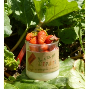 Le petit pot de fruits fraise rhubarbe