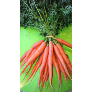 1 x botte carottes nouvelles