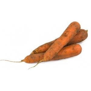 Carotte bio orange