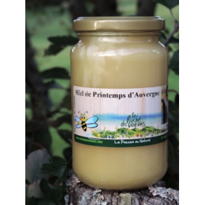 Miel de printemps d'auvergne 2025