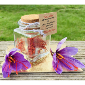 Safran en filaments 1 gramme