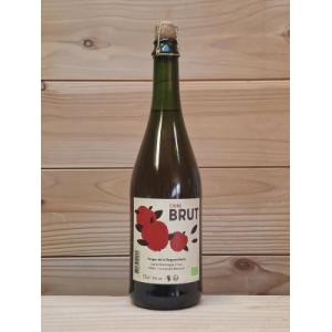 Cidre brut