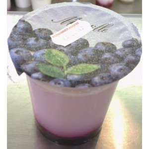 Yaourt nature sur coulis : myrtille (2x125g.)