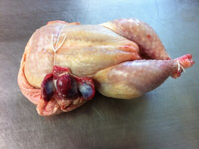 Poulet 1,7 à 2kg