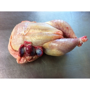 Poulet 2 à 2.3kg